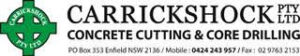 Carrickshock Logo